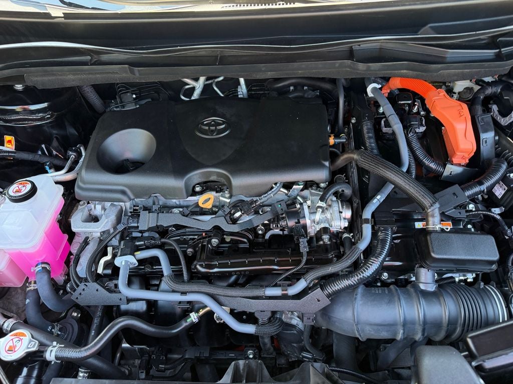 2025 Toyota Sienna Platinum 7 Passenger