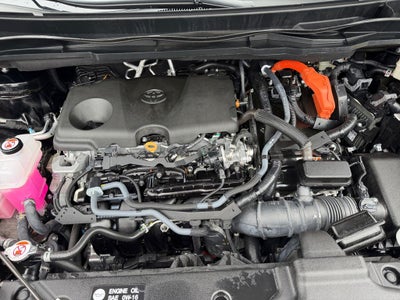 2025 Toyota Sienna Platinum 7 Passenger