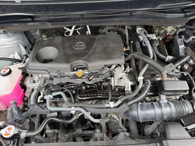 2021 Toyota Sienna XLE 7 Passenger