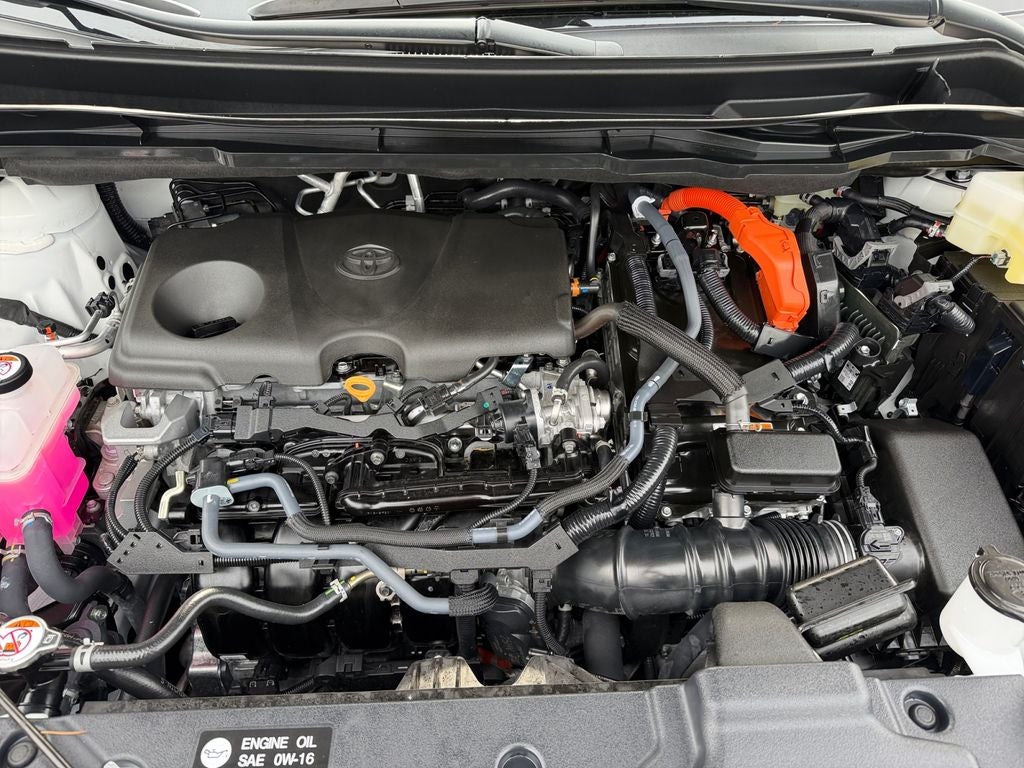 2025 Toyota Sienna XSE 7 Passenger