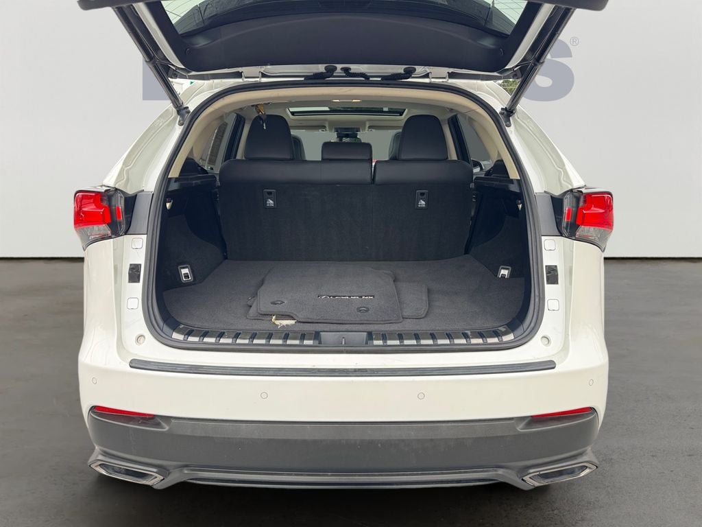 2018 Lexus NX 300 Base 300 Base