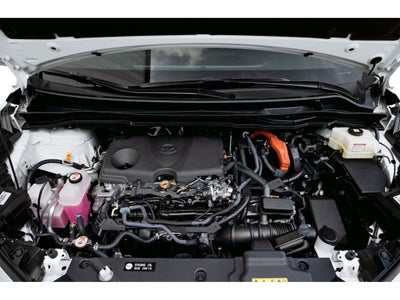 2026 Toyota Sienna Limited 7 Passenger