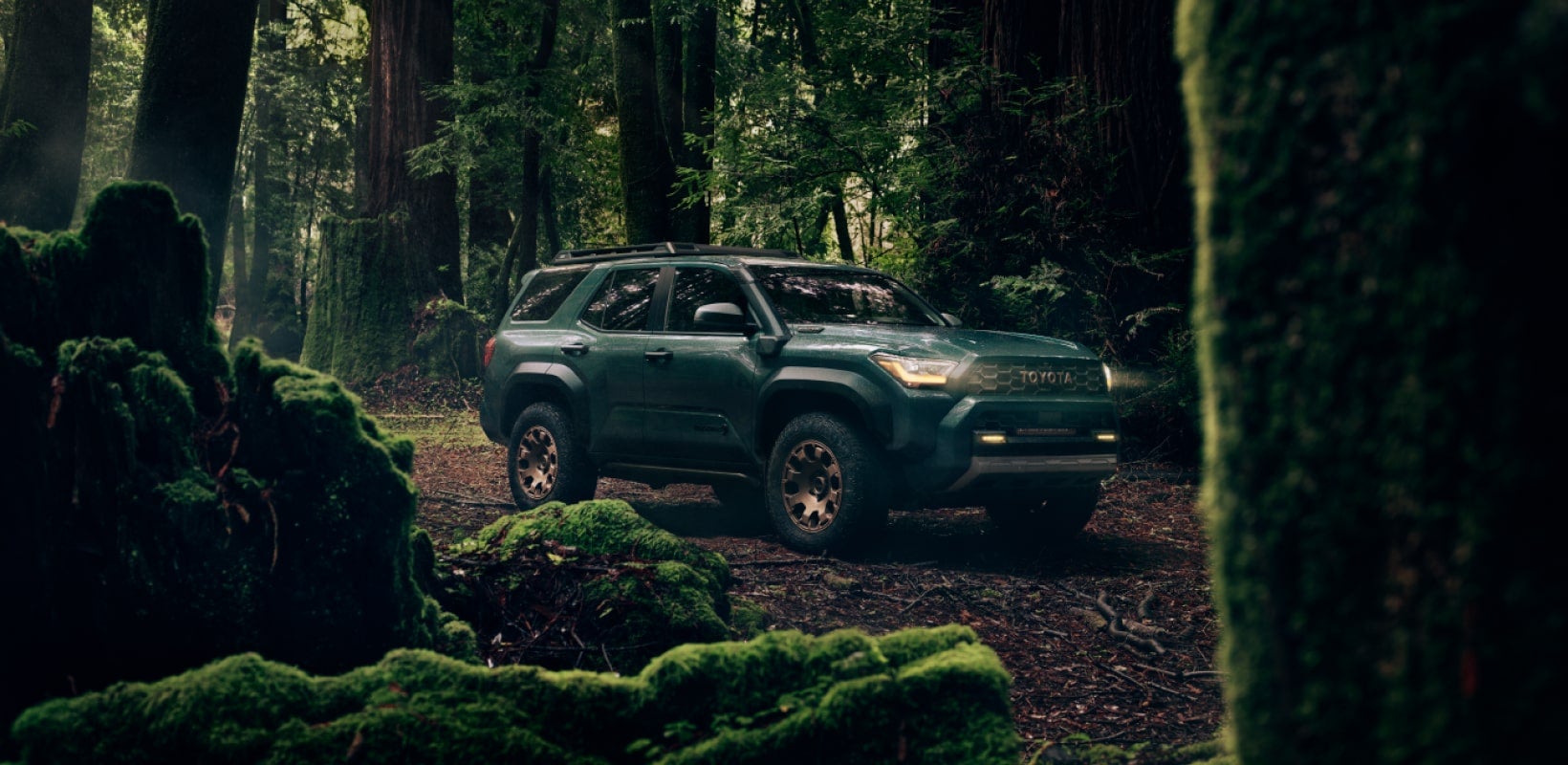 Toyota 4runner Model Details